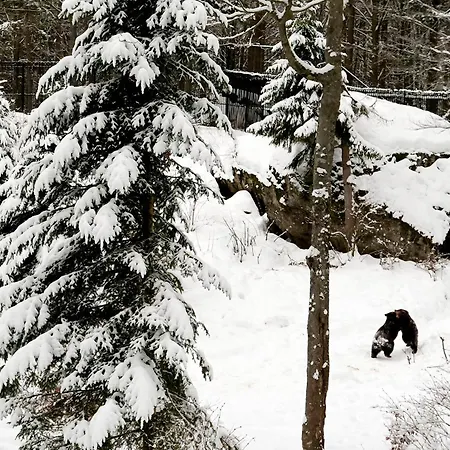 In Mit Garten Und Seeblick Semesterbostad Waldkirchen