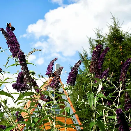 In Mit Garten Und Seeblick Waldkirchen